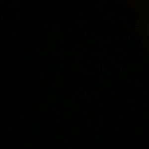 Meet your Posher, Ray